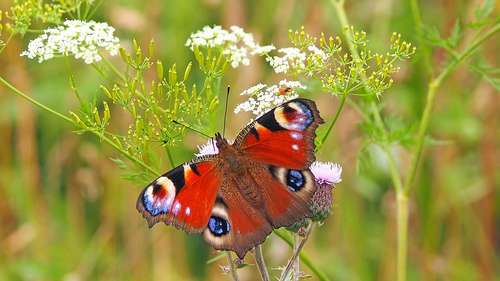 traitement-jardin-bio-fertilisation